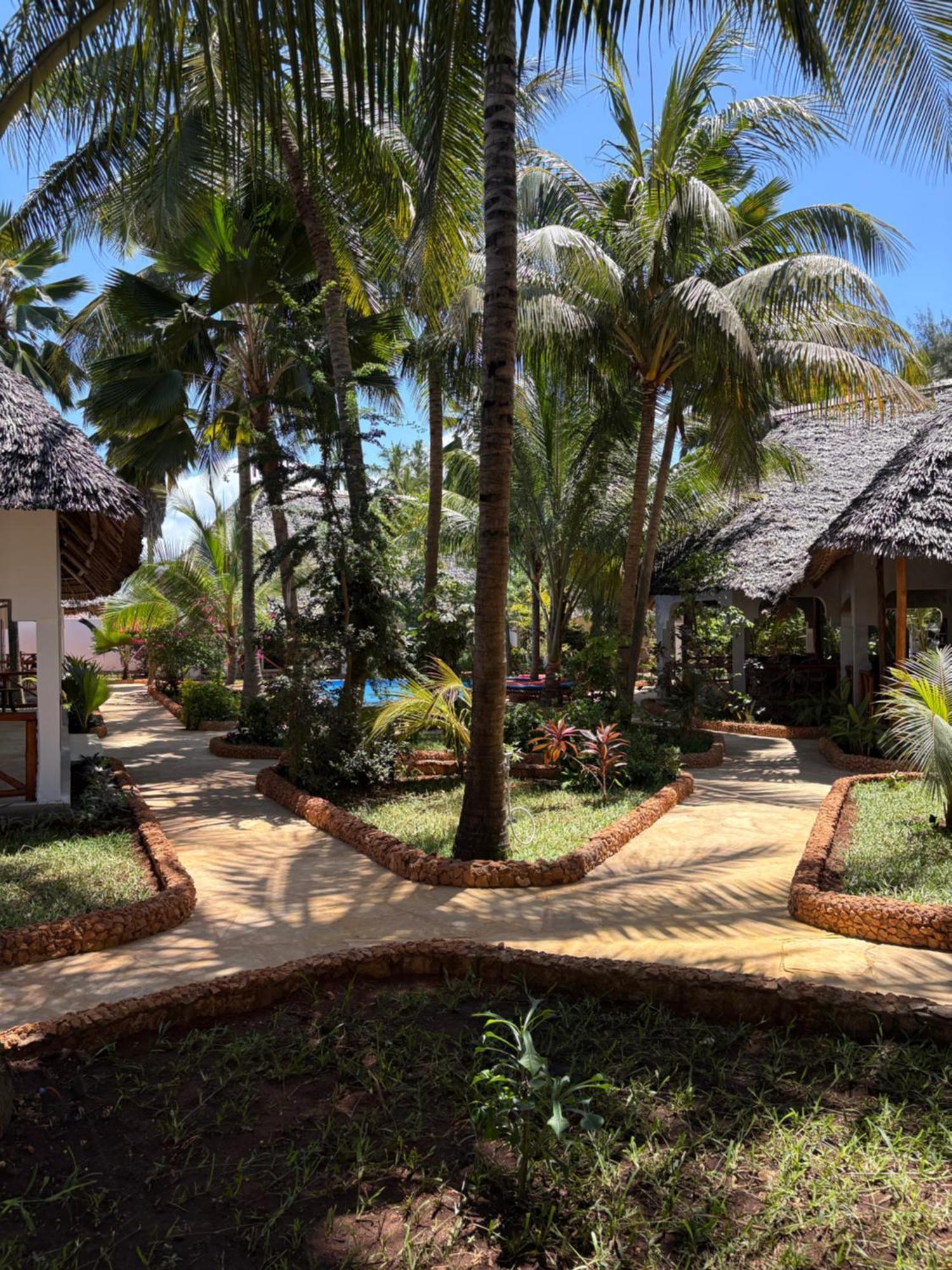 African Bungalows Nungwi Buitenkant foto